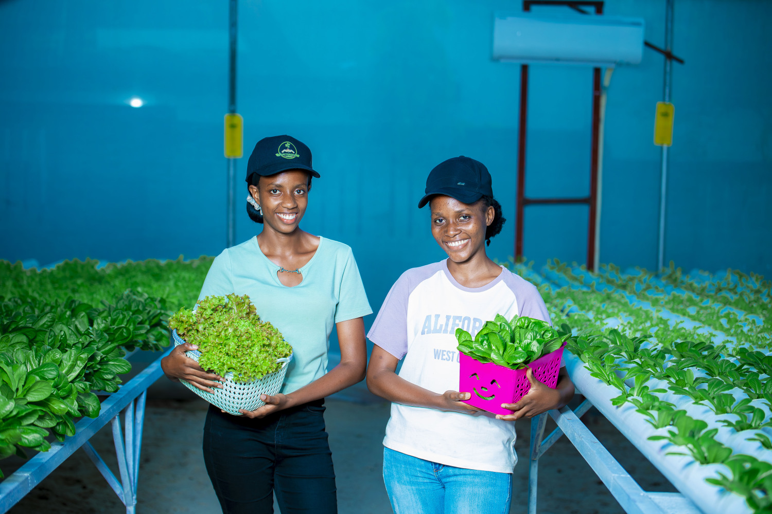 Sustainable Farming
