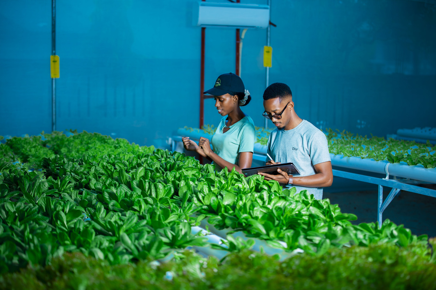 Sustainable Farming Support