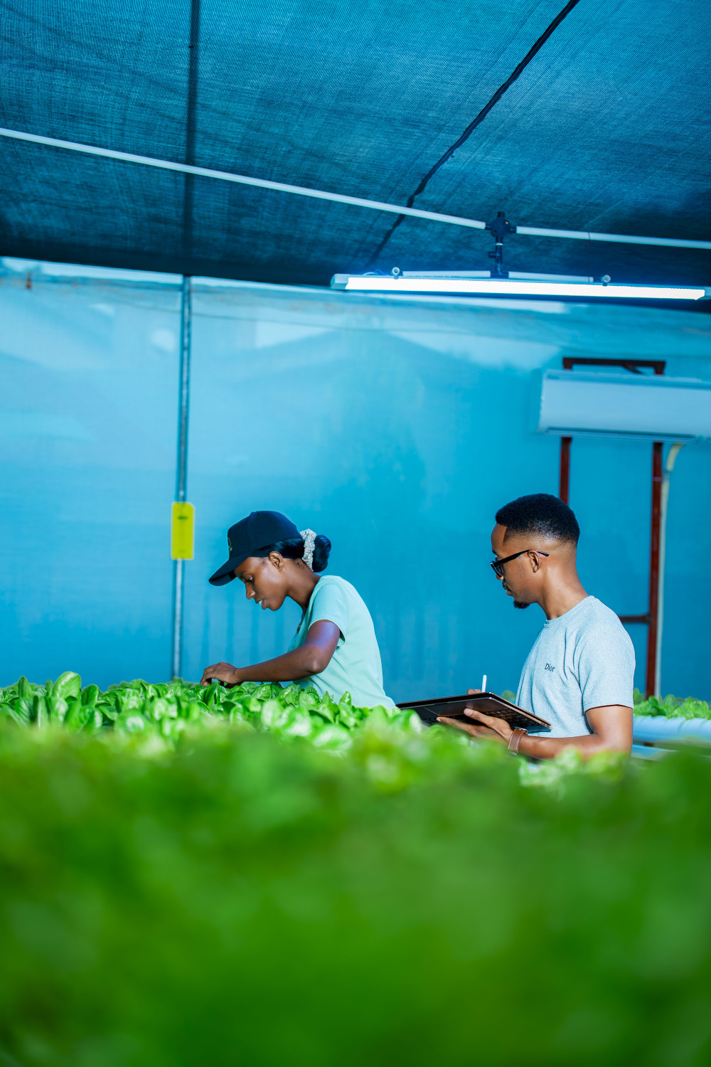 Community Partnership