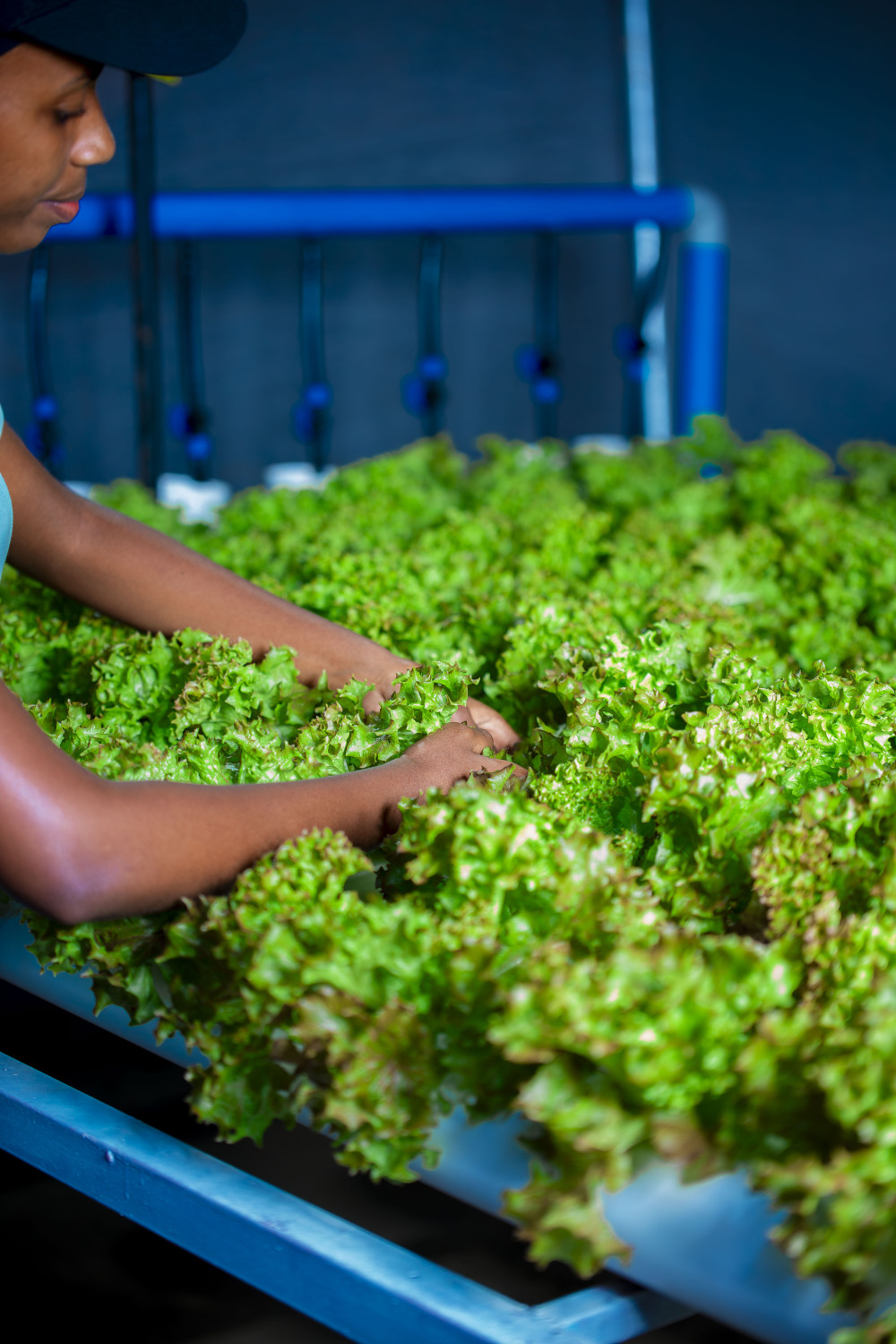 Every Order Grows More Than Greens